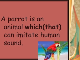 A parrot is an animal  which(that)  can imitate human sound. 