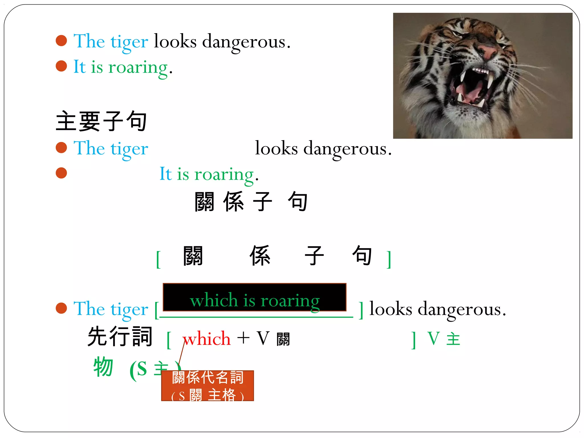 The tiger looks dangerous.
It is roaring.
主要子句
The tiger looks dangerous.
 It is roaring.
關 係 子 句
[ 關 係 子 句 ]
The tiger [_________________ ] looks dangerous.
先行詞 [ which + V 關 ] V 主
物 (S 主 )關係代名詞
( S 關 主格 )
which is roaring
 