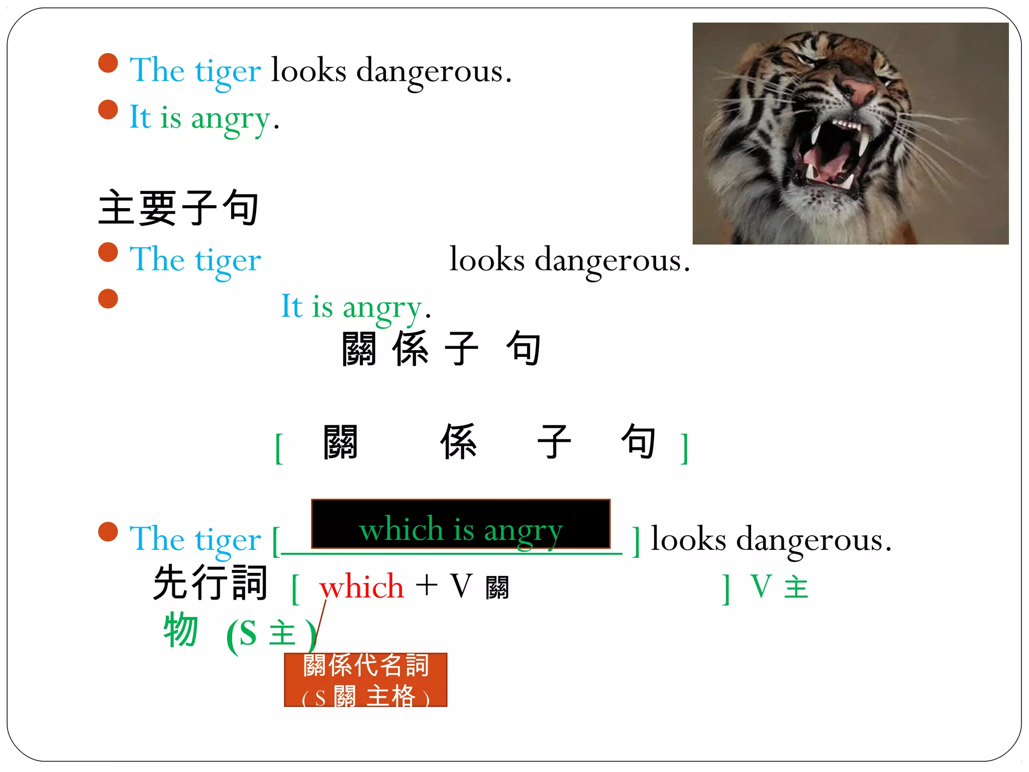 The tiger looks dangerous.
It is angry.
主要子句
The tiger looks dangerous.
 It is angry.
關 係 子 句
[ 關 係 子 句 ]
The tiger [_________________ ] looks dangerous.
先行詞 [ which + V 關 ] V 主
物 (S 主 )
關係代名詞
( S 關 主格 )
which is angry
 