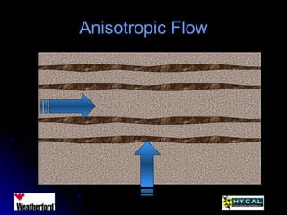 Anisotropic FlowAnisotropic Flow
 