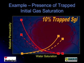 Example – Presence of TrappedExample – Presence of Trapped
Initial Gas SaturationInitial Gas SaturationRelativePermeability
Water Saturation
 