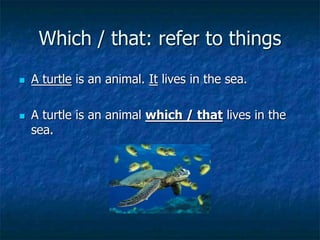 Which / that: refer to things
 A turtle is an animal. It lives in the sea.
 A turtle is an animal which / that lives in the
sea.
 