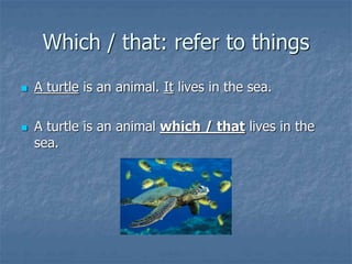 Which / that: refer to things
 A turtle is an animal. It lives in the sea.
 A turtle is an animal which / that lives in the
sea.
 