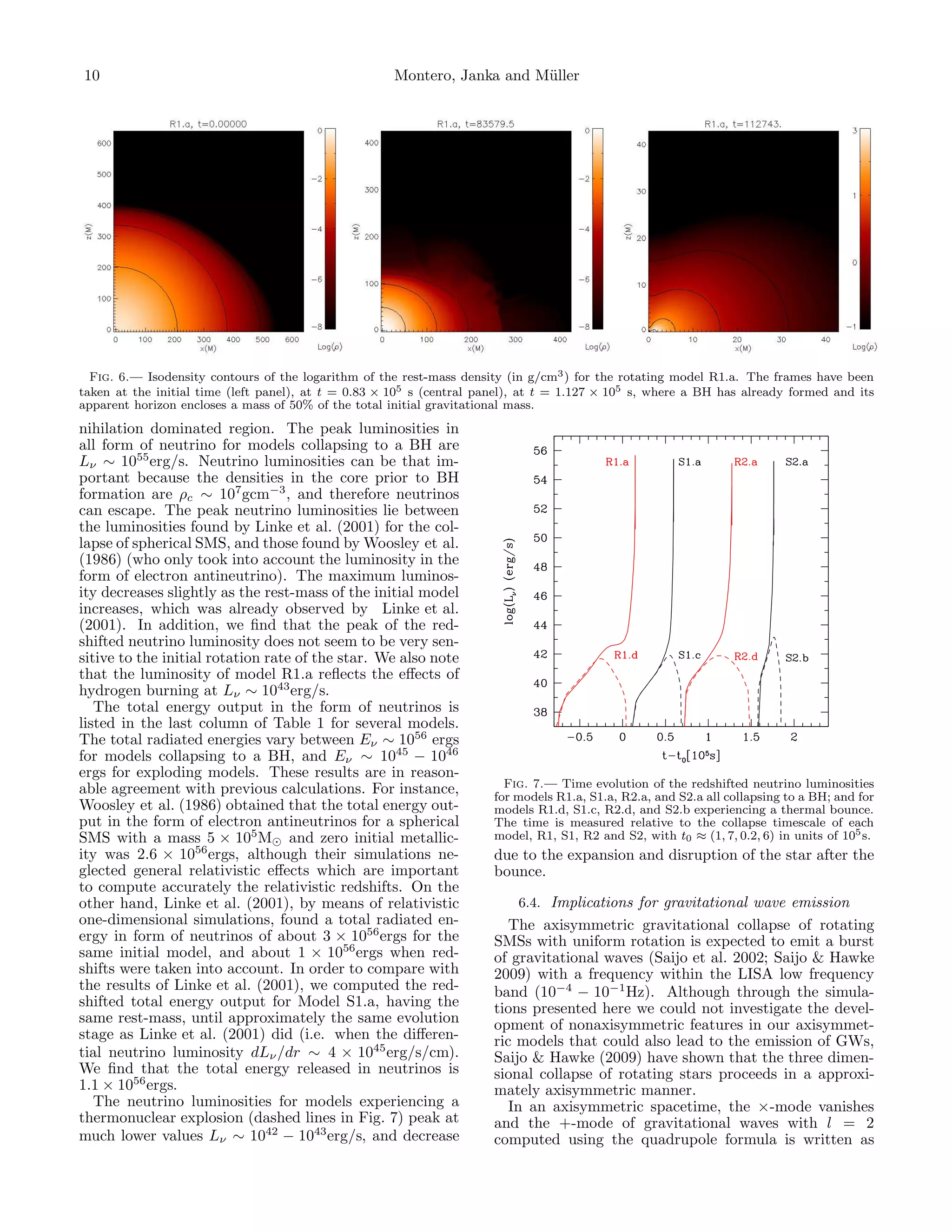 10                                                   Montero, Janka and M¨ller
                                                                         u




  Fig. 6.— Isodensity contours of the logarithm of the rest-mass density (in g/cm3 ) for the rotating model R1.a. The frames have been
taken at the initial time (left panel), at t = 0.83 × 105 s (central panel), at t = 1.127 × 105 s, where a BH has already formed and its
apparent horizon encloses a mass of 50% of the total initial gravitational mass.
nihilation dominated region. The peak luminosities in
all form of neutrino for models collapsing to a BH are
Lν ∼ 1055 erg/s. Neutrino luminosities can be that im-
portant because the densities in the core prior to BH
formation are ρc ∼ 107 gcm−3 , and therefore neutrinos
can escape. The peak neutrino luminosities lie between
the luminosities found by Linke et al. (2001) for the col-
lapse of spherical SMS, and those found by Woosley et al.
(1986) (who only took into account the luminosity in the
form of electron antineutrino). The maximum luminos-
ity decreases slightly as the rest-mass of the initial model
increases, which was already observed by Linke et al.
(2001). In addition, we ﬁnd that the peak of the red-
shifted neutrino luminosity does not seem to be very sen-
sitive to the initial rotation rate of the star. We also note
that the luminosity of model R1.a reﬂects the eﬀects of
hydrogen burning at Lν ∼ 1043 erg/s.
   The total energy output in the form of neutrinos is
listed in the last column of Table 1 for several models.
The total radiated energies vary between Eν ∼ 1056 ergs
for models collapsing to a BH, and Eν ∼ 1045 − 1046
ergs for exploding models. These results are in reason-
able agreement with previous calculations. For instance,                 Fig. 7.— Time evolution of the redshifted neutrino luminosities
                                                                       for models R1.a, S1.a, R2.a, and S2.a all collapsing to a BH; and for
Woosley et al. (1986) obtained that the total energy out-              models R1.d, S1.c, R2.d, and S2.b experiencing a thermal bounce.
put in the form of electron antineutrinos for a spherical              The time is measured relative to the collapse timescale of each
SMS with a mass 5 × 105 M⊙ and zero initial metallic-                  model, R1, S1, R2 and S2, with t0 ≈ (1, 7, 0.2, 6) in units of 105 s.
ity was 2.6 × 1056 ergs, although their simulations ne-                due to the expansion and disruption of the star after the
glected general relativistic eﬀects which are important                bounce.
to compute accurately the relativistic redshifts. On the
other hand, Linke et al. (2001), by means of relativistic                  6.4. Implications for gravitational wave emission
one-dimensional simulations, found a total radiated en-                   The axisymmetric gravitational collapse of rotating
ergy in form of neutrinos of about 3 × 1056 ergs for the               SMSs with uniform rotation is expected to emit a burst
same initial model, and about 1 × 1056 ergs when red-                  of gravitational waves (Saijo et al. 2002; Saijo & Hawke
shifts were taken into account. In order to compare with               2009) with a frequency within the LISA low frequency
the results of Linke et al. (2001), we computed the red-               band (10−4 − 10−1 Hz). Although through the simula-
shifted total energy output for Model S1.a, having the                 tions presented here we could not investigate the devel-
same rest-mass, until approximately the same evolution                 opment of nonaxisymmetric features in our axisymmet-
stage as Linke et al. (2001) did (i.e. when the diﬀeren-               ric models that could also lead to the emission of GWs,
tial neutrino luminosity dLν /dr ∼ 4 × 1045 erg/s/cm).                 Saijo & Hawke (2009) have shown that the three dimen-
We ﬁnd that the total energy released in neutrinos is                  sional collapse of rotating stars proceeds in a approxi-
1.1 × 1056 ergs.                                                       mately axisymmetric manner.
   The neutrino luminosities for models experiencing a                    In an axisymmetric spacetime, the ×-mode vanishes
thermonuclear explosion (dashed lines in Fig. 7) peak at               and the +-mode of gravitational waves with l = 2
much lower values Lν ∼ 1042 − 1043 erg/s, and decrease                 computed using the quadrupole formula is written as
 