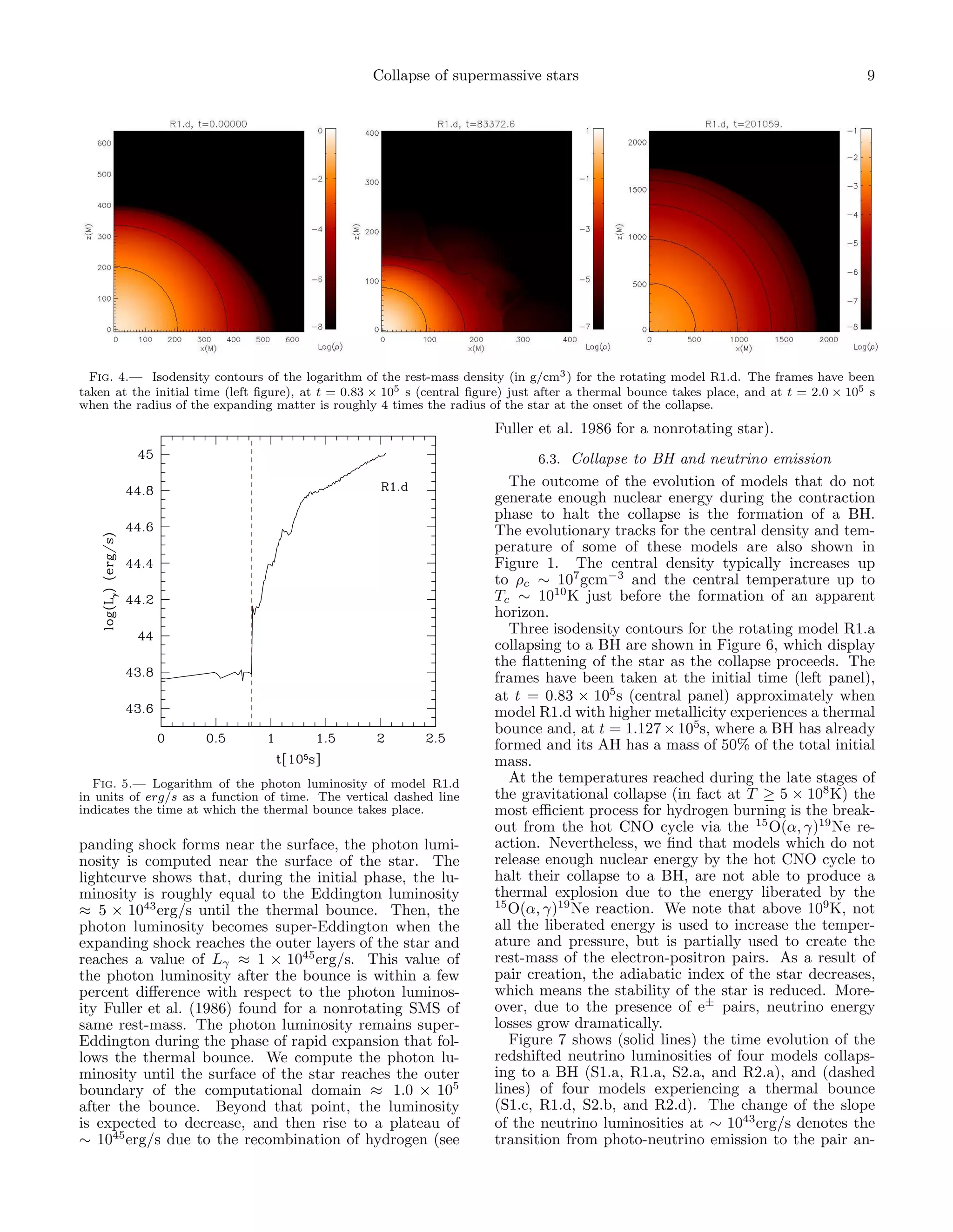 Collapse of supermassive stars                                                        9




  Fig. 4.— Isodensity contours of the logarithm of the rest-mass density (in g/cm3 ) for the rotating model R1.d. The frames have been
taken at the initial time (left ﬁgure), at t = 0.83 × 105 s (central ﬁgure) just after a thermal bounce takes place, and at t = 2.0 × 105 s
when the radius of the expanding matter is roughly 4 times the radius of the star at the onset of the collapse.
                                                                        Fuller et al. 1986 for a nonrotating star).
                                                                                6.3. Collapse to BH and neutrino emission
                                                                           The outcome of the evolution of models that do not
                                                                        generate enough nuclear energy during the contraction
                                                                        phase to halt the collapse is the formation of a BH.
                                                                        The evolutionary tracks for the central density and tem-
                                                                        perature of some of these models are also shown in
                                                                        Figure 1. The central density typically increases up
                                                                        to ρc ∼ 107 gcm−3 and the central temperature up to
                                                                        Tc ∼ 1010 K just before the formation of an apparent
                                                                        horizon.
                                                                           Three isodensity contours for the rotating model R1.a
                                                                        collapsing to a BH are shown in Figure 6, which display
                                                                        the ﬂattening of the star as the collapse proceeds. The
                                                                        frames have been taken at the initial time (left panel),
                                                                        at t = 0.83 × 105 s (central panel) approximately when
                                                                        model R1.d with higher metallicity experiences a thermal
                                                                        bounce and, at t = 1.127 × 105s, where a BH has already
                                                                        formed and its AH has a mass of 50% of the total initial
                                                                        mass.
  Fig. 5.— Logarithm of the photon luminosity of model R1.d                At the temperatures reached during the late stages of
in units of erg/s as a function of time. The vertical dashed line       the gravitational collapse (in fact at T ≥ 5 × 108 K) the
indicates the time at which the thermal bounce takes place.             most eﬃcient process for hydrogen burning is the break-
                                                                        out from the hot CNO cycle via the 15 O(α, γ)19 Ne re-
panding shock forms near the surface, the photon lumi-                  action. Nevertheless, we ﬁnd that models which do not
nosity is computed near the surface of the star. The                    release enough nuclear energy by the hot CNO cycle to
lightcurve shows that, during the initial phase, the lu-                halt their collapse to a BH, are not able to produce a
minosity is roughly equal to the Eddington luminosity                   thermal explosion due to the energy liberated by the
                                                                        15
≈ 5 × 1043 erg/s until the thermal bounce. Then, the                       O(α, γ)19 Ne reaction. We note that above 109 K, not
photon luminosity becomes super-Eddington when the                      all the liberated energy is used to increase the temper-
expanding shock reaches the outer layers of the star and                ature and pressure, but is partially used to create the
reaches a value of Lγ ≈ 1 × 1045 erg/s. This value of                   rest-mass of the electron-positron pairs. As a result of
the photon luminosity after the bounce is within a few                  pair creation, the adiabatic index of the star decreases,
percent diﬀerence with respect to the photon luminos-                   which means the stability of the star is reduced. More-
ity Fuller et al. (1986) found for a nonrotating SMS of                 over, due to the presence of e± pairs, neutrino energy
same rest-mass. The photon luminosity remains super-                    losses grow dramatically.
Eddington during the phase of rapid expansion that fol-                    Figure 7 shows (solid lines) the time evolution of the
lows the thermal bounce. We compute the photon lu-                      redshifted neutrino luminosities of four models collaps-
minosity until the surface of the star reaches the outer                ing to a BH (S1.a, R1.a, S2.a, and R2.a), and (dashed
boundary of the computational domain ≈ 1.0 × 105                        lines) of four models experiencing a thermal bounce
after the bounce. Beyond that point, the luminosity                     (S1.c, R1.d, S2.b, and R2.d). The change of the slope
is expected to decrease, and then rise to a plateau of                  of the neutrino luminosities at ∼ 1043 erg/s denotes the
∼ 1045 erg/s due to the recombination of hydrogen (see                  transition from photo-neutrino emission to the pair an-
 