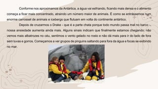Conforme nos aproximamos da Antártica, a água vai esfriando, ficando mais densa e o alimento
começa a ficar mais concentrado, atraindo um número maior de animais. É como se entrássemos num
enorme carrossel de animais e icebergs que flutuam em volta do continente antártico.
Depois de cruzarmos o Drake - que é a parte chata porque todo mundo passa mal no barco -,
nossa ansiedade aumenta ainda mais. Alguns sinais indicam que finalmente estamos chegando: não
vemos mais albatrozes no céu, sentimos o vento gelado no rosto e não dá mais para ir do lado de fora
sem luvas e gorros. Começamos a ver grupos de pinguins saltando para fora da água e focas se exibindo
no mar.
 