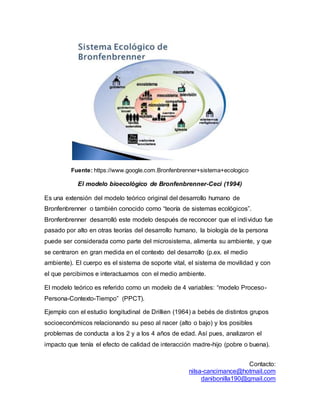 Contacto:
nilsa-cancimance@hotmail.com
danibonilla190@gmail.com
Fuente: https://www.google.com.Bronfenbrenner+sistema+ecologico
El modelo bioecológico de Bronfenbrenner-Ceci (1994)
Es una extensión del modelo teórico original del desarrollo humano de
Bronfenbrenner o también conocido como “teoría de sistemas ecológicos”.
Bronfenbrenner desarrolló este modelo después de reconocer que el individuo fue
pasado por alto en otras teorías del desarrollo humano, la biología de la persona
puede ser considerada como parte del microsistema, alimenta su ambiente, y que
se centraron en gran medida en el contexto del desarrollo (p.ex. el medio
ambiente). El cuerpo es el sistema de soporte vital, el sistema de movilidad y con
el que percibimos e interactuamos con el medio ambiente.
El modelo teórico es referido como un modelo de 4 variables: “modelo Proceso-
Persona-Contexto-Tiempo” (PPCT).
Ejemplo con el estudio longitudinal de Drillien (1964) a bebés de distintos grupos
socioeconómicos relacionando su peso al nacer (alto o bajo) y los posibles
problemas de conducta a los 2 y a los 4 años de edad. Así pues, analizaron el
impacto que tenía el efecto de calidad de interacción madre-hijo (pobre o buena).
 