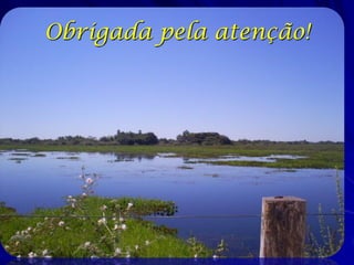 Obrigada pela atenção!
 