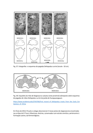 Fig. 37. Fotografias e esquemas de pegadas Deltapodus curriei (escala - 10 cm).
Fig. 38. Esqueleto da mão de Stegosaurus s...