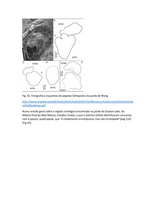 Fig. 42. Fotografia e esquemas de pegadas Deltapodus da jazida de Wang
http://www.xinglida.net/pdf/Xing%20et%20al%202015%2...