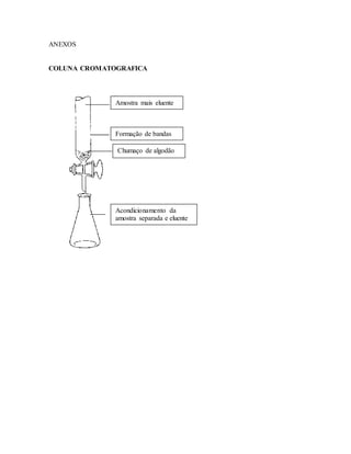 ANEXOS
COLUNA CROMATOGRAFICA
Amostra mais eluente
Formação de bandas
Chumaço de algodão
Acondicionamento da
amostra separada e eluente
 