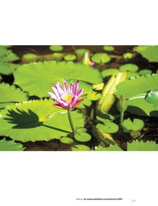 relatório de responsabilidade socioambiental 2009
                                                    165
 