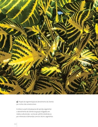 4) Projeto de segmentação de atendimento de clientes
 por nichos não convencionais


 A meta é, a partir de pesquisa de opinião, segmentar
 o atendimento de clientes do grupo A (ligados em
 média e alta tensão – acima de 13,8 KV), dividindo-os
 por interesses e demandas comuns. Assim, segmentos



64
 