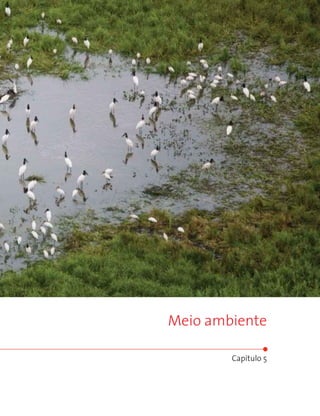 Meio ambiente

        Capítulo 5
 