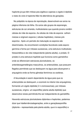 haplonte já que têm mitose pos-zigótica e apenas o zigoto é diplóide

o resto do ciclo é haplonte.Não há alternância de gerações.

 No polipódio na época de reprodução, desenvolvem-se soros na
página inferiores da folha. Os soros são grupos de esporangio,
estruturas de cor amarela, multicelulares que quando jovens contêm
células de mãe de esporos. As células de mãe de esporos sofrem

meiose e originam esporos ( células haplóides), meiose pré-

esporica . Após um período de maturação os esporos são

dissiminados. Ao encontrarem condições favoráveis cada esporo
germina e forma por mitoses sucessivas, uma estrutura multicelular,
fotossintética e de vida independente (planta adulta), o protalo. O

protalo é uma estrutura haplóide que funciona como gametofico

onde se diferenciam estruturas pluricelulares, os
anterideosgametângios masculinos, os anterozóides, que possuem
flagelos permitindo que se desloquem na água para alcançarem o

arquegónio onde se forma gâmetas femininos os oosferas.

 A fecundação é assim dependente da água para que os

anterozóides se desloquem, e ocorrerá no interior dos arquegónios,
formando um zigoto diplóide( 2 n cromossomas), por mitoses

sucessivas, origina um esporófito( planta adulta diplóide) que

desenvolve raízes permitindo-lhe ser independente do gametófito.

Havendo estruturas pluricelulares diplontes e haplontes, podemos
dizer que háalternânciadegerações, entre a geraçãoesporófita

(diplonte – representada pela planta adulta, que é o esporófito) e
                                                                      17
 