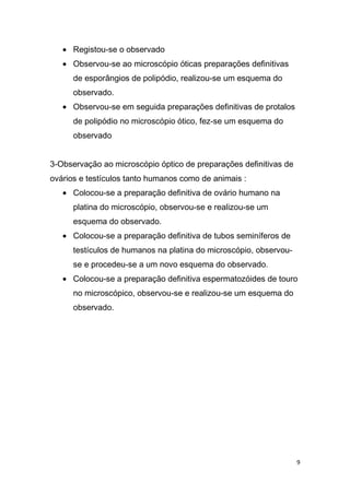 Registou-se o observado
      Observou-se ao microscópio óticas preparações definitivas
      de esporângios de polipódio, realizou-se um esquema do
      observado.
      Observou-se em seguida preparações definitivas de protalos
      de polipódio no microscópio ótico, fez-se um esquema do
      observado


3-Observação ao microscópio óptico de preparações definitivas de
ovários e testículos tanto humanos como de animais :
      Colocou-se a preparação definitiva de ovário humano na
      platina do microscópio, observou-se e realizou-se um
      esquema do observado.
      Colocou-se a preparação definitiva de tubos seminíferos de
      testículos de humanos na platina do microscópio, observou-
      se e procedeu-se a um novo esquema do observado.
      Colocou-se a preparação definitiva espermatozóides de touro
      no microscópico, observou-se e realizou-se um esquema do
      observado.




                                                                   9
 
