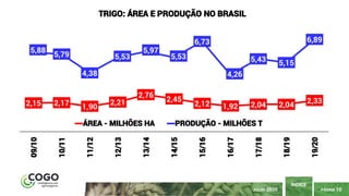 PÁGINA 10
ÍNDICE
JULHO 2020
2,15 2,17 1,90
2,21
2,76
2,45
2,12 1,92 2,04 2,04
2,33
5,88
5,79
4,38
5,53
5,97
5,53
6,73
4,26
5,43 5,15
6,89
09/10
10/11
11/12
12/13
13/14
14/15
15/16
16/17
17/18
18/19
19/20
TRIGO: ÁREA E PRODUÇÃO NO BRASIL
ÁREA - MILHÕES HA PRODUÇÃO - MILHÕES T
 