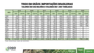 PÁGINA 13
ÍNDICE
JULHO 2020
TRIGO EM GRÃOS: IMPORTAÇÕES BRASILEIRAS
VALORES EM US$ MILHÕES E VOLUMES EM 1.000 TONELADAS
 