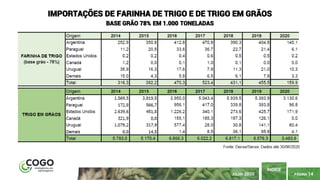 PÁGINA 14
ÍNDICE
JULHO 2020
IMPORTAÇÕES DE FARINHA DE TRIGO E DE TRIGO EM GRÃOS
BASE GRÃO 78% EM 1.000 TONELADAS
 