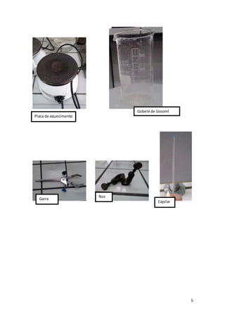 5
Placa de aquecimento
Garra
Noz
Capilar
Gobelé de 1oooml
 
