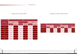 22 23
Relatório de Gestão 2012 | Diretoria Administrativa | Grupo CEEE Relatório de Gestão 2012 | Diretoria Administrativa | Grupo CEEE
Dimensão Geral
Empregados por Etnia - CEEE D e CEEE GT Empregados por Faixa Etária - CEEE D e CEEE GT
 