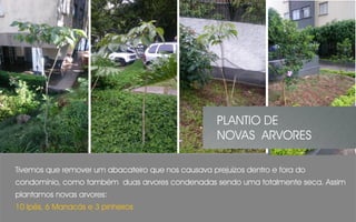 Tivemos que remover um abacateiro que nos causava prejuízos dentro e fora do
condomínio, como também duas arvores condenadas sendo uma totalmente seca. Assim
plantamos novas arvores:
10 Ipês, 6 Manacás e 3 pinheiros
PLANTIO DE
NOVAS ARVORES
 