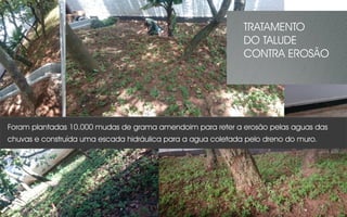 Foram plantadas 10.000 mudas de grama amendoim para reter a erosão pelas aguas das
chuvas e construída uma escada hidráulica para a agua coletada pelo dreno do muro.
TRATAMENTO
DO TALUDE
CONTRA EROSÃO
 