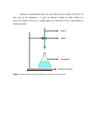 Adicionou-se posteriormente através de uma bureta, 20 ml da solução de HCl (0,5 N) 
para cada um dos erlenmeyers e 6 gotas do indicador vermelho de metila. Titulou-se o 
excesso da solução de HCl com a solução padrão de NaOH (0,25 N) até o aparecimento da 
coloração amarela. 
BURETA 
GARRA 
ERLENMEYER 
SUPORTE UNIVERSAL 
Figura 1. Representação dos procedimentos usados em uma titulação. 
 
