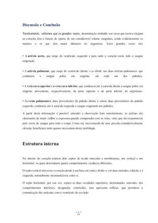 11
Discussão e Conclusão
Teoricamente, sabemos que os grandes vasos, denominação atribuída aos vasos que saem e chegam
ao coração, têm a função de aporte de um considerável volume sanguíneo, sendo evidentemente os
maiores e os que têm maior diâmetro no organismo. Estes grandes vasos são:
• A artéria aorta, que surge do ventrículo esquerdo e para onde o coração envia todo o sangue
oxigenado.
• A artéria pulmonar, que surge do ventrículo direito e se divide nas duas artérias pulmonares que
conduzem o sangue pobre em oxigénio até cada um dos pulmões.
• A veia cava superior e a veia cava inferior, que conduzem até à aurícula direita o sangue pobre em
oxigénio proveniente, respectivamente, da parte superior e da parte inferior do organismo.
• As veias pulmonares, duas provenientes do pulmão direito e outras duas provenientes do pulmão
esquerdo, conduzem até à aurícula esquerda o sangue oxigenado nos pulmões.
A partir desta informação é possível entender a observação feita anteriormente: as artérias são
claramente de maior calibre e espessura quando comparadas com as veias, visto que são responsáveis
pelo envio do sangue para todo o corpo. Como tal, necessitando de uma pressão consideravelmente
elevada, beneficiam tanto quanto necessitam desta morfologia.
Estrutura interna
No interior do coração existem dois septos de tecido muscular e membranoso, um vertical e um
horizontal, os quais determinam quatro compartimentos cardíacos diferentes.
O septo vertical atravessa o coração desde a sua base até cima e divide-o em duas metades,a direita e a
esquerda, normalmente incomunicáveis entre si.
O septo horizontal, por sua vez, separa as duas cavidades superiores, denominadas aurículas, dos
compartimentos inferiores, designados ventrículos, mas apresenta orifícios que permitem a
comunicação das aurículas com o ventrículo do seu lado.
 