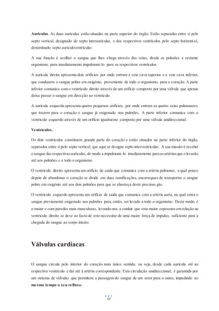 12
Aurículas. As duas aurículas estão situadas na parte superior do órgão. Estão separadas entre si pelo
septo vertical, designado de septo interauricular, e dos respectivos ventrículos pelo septo horizontal,
denominado septo auriculoventricular.
A sua função é acolher o sangue que lhes chega através das veias, desde os pulmões e restante
organismo, para imediatamente impulsioná-lo para os respectivos ventrículos.
A aurícula direita apresenta dois orifícios por onde entram a veia cava superior e a veia cava inferior,
que conduzem o sangue pobre em oxigénio, proveniente de todo o organismo, para o coração. A parte
inferior comunica com o ventrículo direito através de um orifício composto por uma válvula que apenas
deixa passar o sangue em direcção ao ventrículo.
A aurícula esquerda apresenta quatro pequenos orifícios, por onde entram as quatro veias pulmonares
que trazem para o coração o sangue já oxigenado nos pulmões. A parte inferior comunica com o
ventrículo esquerdo através de um orifício igualmente composto por uma válvula unidireccional.
Ventrículos.
Os dois ventrículos constituem grande parte do coração e estão situados na parte inferior do órgão,
separados entre sipelo septo vertical, que aqui se designa septo interventricular. A sua missão é receber
o sangue dasrespectivasaurículas, de modo a impulsioná-lo imediatamente para asartériasque o levarão
até aos pulmões e a todo o organismo.
O ventrículo direito apresenta um orifício de saída que comunica com a artéria pulmonar, a qual pouco
depois de abandonar o coração se divide em duas ramificações, encarregues de transportar o sangue
pobre em oxigénio até aos dois pulmões para que se abasteça deste precioso gás.
O ventrículo esquerdo apresenta um orifício de saída que comunica com a artéria aorta, na qual entra o
sangue previamente oxigenado nos pulmões para,então, ser levado a todo o organismo. Deste modo, é
o maior e com paredes mais musculosas, levando-nos a conluir que esta maior espessura em relação ao
ventrículo direito se deve ao facto de este necessitar de uma maior força de impulso, suficiente para a
chegada do sangue ao corpo inteiro.
Válvulas cardíacas
O sangue circula pelo interior do coração num único sentido, ou seja, desde cada aurícula até ao
respectivo ventrículo e daí até à artéria correspondente. Esta circulação unidireccional, é garantida por
um sistema de válvulas que permitem a passagem do sangue de um setor para o outro, impedindo ao
mesmo tempo o seu refluxo.
 