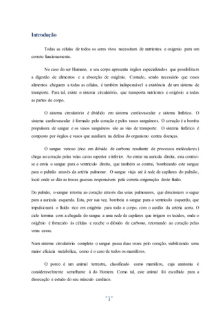 2
Introdução
Todas as células de todos os seres vivos necessitam de nutrientes e oxigenio para um
correto funcionamento.
No caso do ser Humano, o seu corpo apresenta órgãos especializados que possibilitam
a digestão de alimentos e a absorção de oxigénio. Contudo, sendo necessário que esses
alimentos cheguem a todas as células, é também indispensável a existência de um sistema de
transporte. Para tal, existe o sistema circulatório, que transporta nutrientes e oxigénio a todas
as partes do corpo.
O sistema circulatório é dividido em sistema cardiovascular e sistema linfático. O
sistema cardiovascular é formado pelo coração e pelos vasos sanguíneos. O coração é a bomba
propulsora de sangue e os vasos sanguíneos são as vias de transporte. O sistema linfático é
composto por órgãos e vasos que auxiliam na defesa do organismo contra doenças.
O sangue venoso (rico em dióxido de carbono resultante de processos moléculares)
chega ao coração pelas veias cavas superior e inferior. Ao entrar na auricula direita, esta contrai-
se e envia o sangue para o ventrículo direito, que também se contrai, bombeando este sangue
para o pulmão através da artéria pulmonar. O sangue viaja até à rede de capilares do pulmão,
local onde se dão as trocas gasosas responsáveis pela correta oxigenação deste fluído.
Do pulmão, o sangue retorna ao coração através das veias pulmonares, que direcionam o sague
para a aurícula esquerda. Esta, por sua vez, bombeia o sangue para o ventrículo esquerdo, que
impulsionará o fluído rico em oxigênio para todo o corpo, com o auxílio da artéria aorta. O
ciclo termina com a chegada do sangue a uma rede de capilares que irrigam os tecidos, onde o
oxigênio é fornecido ás células e recebe o dióxido de carbono, retornando ao coração pelas
veias cavas.
Num sistema circulatório completo o sangue passa duas vezes pelo coração, viabilizando uma
maior eficácia metabólica, como é o caso de todos os mamíferos.
O porco é um animal terrestre, classificado como mamífero, cuja anatomia é
consideravelmente semelhante à do Homem. Como tal, este animal foi escolhido para a
dissecação e estudo do seu músculo cardíaco.
 
