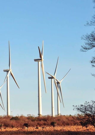 13 
RELATÓRIO 
ANUAL 
2012 
 