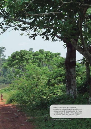 27 
O BNDES tem entre seus objetivos 
estratégicos o fomento ao desenvolvimento 
socioambiental. O Banco é gestor do Fundo 
Amazônia, que de 2009 a 2012 já aprovou 
36 projetos, entre eles, o Fundo Kayapó. 
RELATÓRIO 
ANUAL 
2012 
Fotografia: Daniel Rossi Soeiro 
 
