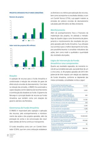 Projetos apoiados pelo Fundo Amazônia 
Número de projetos 
40 
35 
30 
25 
20 
15 
10 
5 
5 
500 
450 
400 
350 
300 
250 
200 
150 
100 
50 
70RELATÓRIO 
ANUAL 
2012 
10 
13 
23 
No Ano Acumulado 
0 
8 
14 
5 
36 
2009 2010 2011 2012 
Valor total dos projetos (R$ milhões) 
No Ano Acumulado 
70 
120 
71 
179 
70 
190 
261 
440 
- 
2009 2010 2011 2012 
Doações 
A captação de recursos para o Fundo Amazônia é 
condicionada à redução das emissões de gases de 
efeito estufa oriundas do desmatamento. Com base 
na redução das emissões, o BNDES fica autorizado a 
captar doações e emitir diplomas de reconhecimento 
à contribuição dos doadores ao fundo. O governo da 
Noruega é o principal doador de recursos ao Fundo 
Amazônia, que também conta com doações do 
governo alemão e da Petrobras. 
Governança do Fundo Amazônia 
O BNDES é responsável pela captação e aplicação 
dos recursos, pelo acompanhamento e monitora-mento 
das ações e dos projetos apoiados, além da 
prestação de contas e da comunicação dos resul-tados 
obtidos de forma contínua e transparente. 
O Fundo Amazônia conta com um Comitê Orien-tador 
(COFA), que tem como atribuição estabelecer 
as diretrizes e os critérios para aplicação dos recursos, 
bem como acompanhar os resultados obtidos; e com 
um Comitê Técnico (CTFA), cujo papel é atestar as 
emissões de carbono oriundas de desmatamento 
calculadas pelo Ministério do Meio Ambiente. 
Monitoramento 
Além do acompanhamento físico e financeiro da 
implantação dos projetos, foi adotada a metodo-logia 
do Quadro Lógico como ferramenta de plane-jamento 
e monitoramento dos resultados dos pro-jetos 
apoiados pelo Fundo Amazônia. Sua utilização 
visa contribuir para o melhor desempenho do fundo, 
pois possibilita levantar e consolidar indicadores das 
ações, bem como medir a qualidade e quantidade 
dos resultados alcançados. 
Lógica de intervenção do Fundo 
Amazônia e seus componentes 
Quanto aos resultados esperados, do momento ini-cial 
até sua completa execução, que pode levar de um 
a cinco anos, os 36 projetos apoiados até 2012 têm 
potencial de forte impacto com relação aos objetivos 
do Fundo Amazônia, conforme se depreende das 
metas contratadas, consolidadas na lista a seguir: 
N° de famílias beneficiadas com 
pagamento por serviços ambientais 12.569 
N° de indivíduos capacitados para 
a prática de atividades econômicas 
4.665 
sustentáveis 
N° de indivíduos capacitados em 
atividades relacionadas à gestão de 
florestas públicas e áreas protegidas 
400 
N° de indivíduos participantes de eventos 
de sensibilização ou eventos integradores 13.346 
N° de oficinas e cursos de capacitação 339 
N° de imóveis com projetos 
de produção sustentável 2.200 
N° de nascentes recuperadas 1.200 
N° de órgãos ambientais estruturados 
(estaduais e municipais) 29 
Área de imóveis com mapeamento 
georreferenciado realizado para fins 
10.000.000 
de Cadastro Ambiental Rural (CAR) (ha) 
N° de imóveis que tiveram seu pedido 
de adesão ao CAR protocolado 103.000 
N° de unidades de conservação apoiadas 
(federal e estadual) 84 
Extensão de áreas protegidas com gestão 
ambiental e/ou controle de seu território 
fortalecidos (km2) 
560.740 
 
