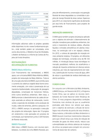 71 
RELATÓRIO 
ANUAL 
2012 
Área de unidades de conservação a serem 
criadas (km2) 135.000 
N° de indígenas beneficiados 7.000 
N° de propriedades rurais com situação 
fundiária regular 800 
Área de propriedades rurais 
georreferenciadas para fins de 
58.955 
regularização fundiária (ha) 
Montante do apoio a projetos de ciência, 
tecnologia e inovação 
R$ 98,3 
milhões 
Montante do apoio a projetos de combate 
a incêndios florestais e queimadas ilegais 
R$ 62,7 
milhões 
Nº de indivíduos capacitados em técnicas 
de combate ao fogo para formação de 
brigadas civis 
1.760 
Informações adicionais sobre os projetos apoiados 
estão disponíveis no site <www.fundoamazonia.gov. 
br>, onde também podem ser consultados, entre 
outros documentos, o Relatório Anual de Atividades, 
o Boletim de Notícias e o Informe da Carteira de Pro-jetos 
do Fundo Amazônia. 
Restauração e 
recuperação de florestas 
BNDES Mata Atlântica 
Com financiamento não reembolsável, o BNDES 
apoia, com a Iniciativa BNDES Mata Atlântica (IBMA), 
projetos de restauração da Mata Atlântica. Trata-se 
de uma ação voluntária do BNDES, que contribui para 
o aumento da cobertura vegetal desse bioma seria-mente 
ameaçado, com vistas à preservação de sua 
riquíssima biodiversidade, restauração de paisagens 
degradadas, conservação de mananciais hídricos, 
entre outros benefícios ambientais. Além disso, a 
IBMA promove o desenvolvimento da cadeia de ser-viços 
associada ao esforço de restauração, incenti-vando 
a expansão de atividades como produção de 
mudas, coleta de sementes, plantio e pesquisas. Em 
2012, o BNDES avançou na aprovação e execução 
dos projetos de restauração. Agora são 13 projetos 
em andamento e dois aprovados em processo de 
contratação, que representam juntos 3.329 hectares 
de floresta restaurada. 
BNDES Florestal 
Além disso, o BNDES financia, com recursos reem-bolsáveis, 
no âmbito da Linha BNDES Florestal, pro-jetos 
de reflorestamento, conservação e recuperação 
florestal de áreas degradadas ou convertidas e pro-jetos 
de manejo florestal de áreas nativas. Espera-se 
para 2013 um crescimento significativo da demanda 
por essa linha de financiamento, para projetos de 
grande escala. 
Inovação ambiental 
A AMA apoia também projetos de pesquisa aplicada 
com o objetivo de estimular o desenvolvimento de 
soluções inovadoras para problemas ambientais, tais 
como o tratamento de resíduos sólidos, efluentes 
líquidos e emissões atmosféricas em plantas indus-triais, 
na construção civil e em espaços urbanos. 
Em 2012, a carteira de operações de inovação em 
meio ambiente totalizou 19 projetos, em diferentes 
estágios de tramitação, somando cerca de R$ 120 
milhões. A introdução dessas novas tecnologias no 
mercado possibilitará melhoria da ecoeficiência e 
redução de impactos ambientais em diversos setores 
industriais, por meio do reaproveitamento de mate-riais, 
substituição de insumos e reuso de água, além 
de reduzir a quantidade de resíduos destinados aos 
aterros sanitários. 
Fundo Clima 
Em conjunto com o Ministério do Meio Ambiente, 
o BNDES lançou, em fevereiro de 2012, o Programa 
Fundo Clima, que vai aplicar os recursos reem-bolsáveis 
do Fundo Nacional sobre Mudança do 
Clima. O novo programa disponibiliza condições 
financeiras mais atrativas do que as usualmente 
praticadas pelo Banco nos setores que apoia, 
com o objetivo de estimular a difusão de tecno-logias 
mais eficientes do ponto de vista climático. 
Dessa maneira, o Ministério do Meio Ambiente e o 
BNDES buscam incentivar investimentos relevantes 
para que o Brasil atinja suas metas de redução de 
emissões de gases do efeito estufa, reduza suas 
vulnerabilidades aos efeitos adversos da mudança 
do clima e se prepare para competir em uma eco-nomia 
de baixo teor de carbono. 
 