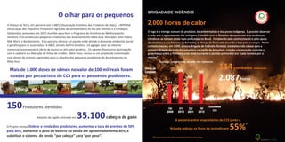 A Aliança da Terra, em parceria com a ABCZ (Associação Brasileira dos Criadores de Zebu), a APEPASA
(Associação dos Pequenos Produtores Agrícolas de Santo Antônio do Rio das Mortes) e a Fundação
Solidaridad, promoveu em 2012 reuniões para levar o Programa de Incentivo ao Melhoramento
Genético (Pró-Genética) a pequenos produtores dos Assentamentos Mata Azul, Roncador, Dom Pedro,
Mãe Maria e Bandeirantes. Esta parceria oferece um pacote onde atende à demanda ambiental, social
e genética para os assentados. A ABCZ, através do Pró-Genética, irá agregar valor ao rebanho
comercial, promovendo a oferta de touros de alto valor genético. Os agentes financeiros participarão
com o cadastro e a liberação de linhas de crédito. Além disso, iniciou-se um projeto de inseminação
com sêmen de animais registrados para o rebanho dos pequenos produtores do Assentamento da
Mata Azul.
doadas por pecuaristas do CCS para os pequenos produtores.
Mais de 3.000 doses de sêmen no valor de 100 mil reais foram
150
35.100
Dobrar a renda dos produtores, aumentar a taxa de prenhez de 50%
para 80%,
O Projeto almeja:
umentar o peso do bezerro na venda em aproximadamente 30%, e
substituir o sistema de venda ‘’por cabeça’’ para ‘’por peso’’.
Produtores atendidos
Rebanho da região estimado em cabeças de gado
a
O olhar para os pequenos BRIGADA DE INCÊNDIO
2.000 horas de calor
O fogo é o inimigo comum do produtor, do ambientalista e dos povos indígenas. É possível observar
a cada ano o agravamento das estiagens à medida que as florestas desaparecem e as mudanças
climáticas se tornam ainda mais profundas no Brasil. Fortalecida pelo conhecimento e pelo apoio
de cientistas e dos homens da fronteira, a Aliança da Terra está levando a luta para o campo. Neste
contexto nasceu, em 2009, a nossa Brigada de Incêndio florestal, estabelecendo a base para a
primeira Brigada de Incêndio voluntária na região da Amazônia, criando um senso de controle e
governança sobre a fronteira onde anteriormente o sentido primordial era “cada homem por si
mesmo”.
16/
2009
31/
2010
32/
2011
35/
2012
Combates
ano
Horas de
Combate
271
670
486
660
Sucesso comprovado através dos números:
2.087horas
114combates, totalizando
A parceria entre proprietários do CCS junto a
Brigada reduziu os focos de incêndio em 55%*
*Pesquisa realizada pela UFMG (Universidade Federal de Minas Gerais)
 
