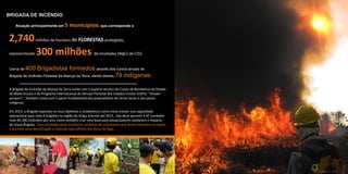 A Brigada de Incêndio da Aliança da Terra conta com o suporte técnico do Corpo de Bombeiros do Estado
do Mato Grosso e do Programa Internacional do Serviço Florestal dos Estados Unidos (USFS) -"Smoke-
jumpers". Também conta com o apoio fundamental dos proprietários de terras locais e dos povos
indígenas.
Em 2012, a Brigada expandiu os seus objetivos e estabeleceu como meta crescer sua capacidade
operacional para mais 4 brigadas na região do Xingu oriental até 2015. Isto deve permitir à AT combater
mais de 200 incêndios por ano, como também criar uma base para pesquisadores avaliarem o impacto
da nossa Brigada. Esta estratégia deve incorporar centenas de voluntários que foram treinados na região
e permitir uma identificação e controle mais efetivo dos focos de fogo.
BRIGADA DE INCÊNDIO
Cerca de através dos cursos anuais de
Brigada de Incêndio Florestal da Aliança da Terra, sendo destes
400 Brigadistas formados
74 indígenas.
2,740
300 milhões
milhões de hectares de FLORESTAS protegidas,
representando de toneladas (MgC) de CO2.
Atuação principalmente em que corresponde a5 municípios,
 