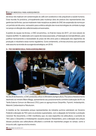 Relatorio anual de gestao 2017