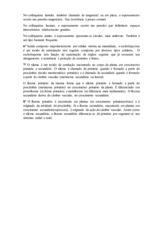 No colênquima lamelar, também chamado de tangencial ou em placa, o espessamento
ocorre nas paredes tangenciais. Sua ocorrência é pouco comum.
No colênquima lacunar, o espessamento ocorre nas paredes que delimitam espaços
intercelulares relativamente grandes.
No colênquima anular, o espessamento apresenta-se circular, mais uniforme. Também é
um tipo bastante frequente.
6° Sendo composto majoritariamente por células mortas na maturidade, o esclerênquima
é um tecido de sustentação dos vegetais composto por diversos tipos celulares. O
esclerênquima tem função de sustentação de órgãos vegetais que já cessaram seu
alongamento e resistência e proteção de sementes e frutos.
7° O xilema é um tecido de condução encontrado no corpo da planta em crescimento
primário e secundário. O xilema é chamado de primário quando é formado a partir do
procâmbio (tecido meristemático primário) e é chamado de secundário quando é formado
a partir do câmbio vascular (meristema secundário ou lateral).
O floema primário da mesma forma que o xilema primário é formado a partir do
procâmbio (meristema primário) no crescimento primário da planta. É diferenciado em
protofloema (se forma primeiro) e metafloema (se diferencia mais tardiamente). O floema
secundário deriva do câmbio vascular, no crescimento secundário.
8° O floema primário é encontrado em plantas em crescimento primário(altura) e é
originado da atividade do procâmbio. Já o floema secundário, encontrado em plantas em
crescimento secundário(espessura), é originado da ação do câmbio vascular. Assim como
o xilema secundário, o floema secundário diferencia-se do primário por organizar-se nos
sistemas radial e axial.
 