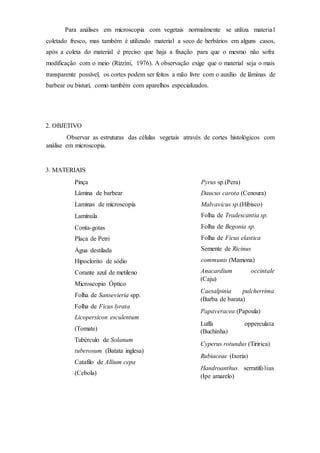 Para análises em microscopia com vegetais normalmente se utiliza material
coletado fresco, mas também é utilizado material a seco de herbários em alguns casos,
após a coleta do material é preciso que haja a fixação para que o mesmo não sofra
modificação com o meio (Rizzini, 1976). A observação exige que o material seja o mais
transparente possível, os cortes podem ser feitos a mão livre com o auxílio de lâminas de
barbear ou bisturi, como também com aparelhos especializados.
2. OBJETIVO
Observar as estruturas das células vegetais através de cortes histológicos com
análise em microscopia.
3. MATERIAIS
Pinça
Lâmina de barbear
Laminas de microscopia
Lamínula
Conta-gotas
Placa de Petri
Água destilada
Hipoclorito de sódio
Corante azul de metileno
Microscopio Óptico
Folha de Sansevieria spp.
Folha de Ficus lyrata
Licopersicon esculentum
(Tomate)
Tubérculo de Solanum
tuberosum (Batata inglesa)
Catafilo de Allium cepa
(Cebola)
Pyrus sp.(Pera)
Daucus carota (Cenoura)
Malvavicus sp.(Hibisco)
Folha de Tradescantia sp.
Folha de Begonia sp.
Folha de Ficus elastica
Semente de Ricinus
communis (Mamona)
Anacardium occintale
(Caju)
Caesalpinia pulcherrima
(Barba de barata)
Papaveracea (Papoula)
Luffa opperculata
(Buchinha)
Cyperus rotundus (Tiririca)
Rubiaceae (Ixoria)
Handroanthus serratifolius
(Ipe amarelo)
 