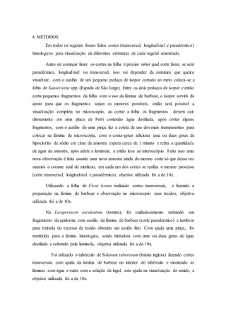 4. MÉTODOS
Em todos os vegetais foram feitos cortes (transversal, longitudinal e paradérmico)
histologicos para visualização de diferentes estruturas de cada vegetal amostrado.
Antes de começar fazer os cortes na folha é preciso saber qual corte fazer, se será
paradérmico, longitudinal ou transversal, isso vai depender da estrutura que queira
visualizar, com o auxílio de um pequeno pedaço de isopor cortado ao meio coloca-se a
folha de Sansevieria spp. (Espada de São Jorge). Entre os dois pedaços de isopor e então
corta pequenos fragmentos da folha com o uso da lâmina de barbear, o isopor servirá de
apoio para que os fragmentos sejam os menores possíveis, então será possível a
visualização completa no microscópio, ao cortar a folha os fragmentos devem cair
diretamente em uma placa de Petri contendo água destilada, após cortar alguns
fragmentos, com o auxílio de uma pinça faz a coleta de um dos mais transparentes para
colocar na lâmina de microscopia, com o conta-gotas adiciona uma ou duas gotas de
hipoclorito de sódio em cima da amostra espera cerca de 1 minuto e retira a quantidade
de água da amostra, após adere a lamínula, e então leva ao microscópio. Feito isso uma
nova observação é feita usando uma nova amostra ainda do mesmo corte só que dessa vez
usamos o corante azul de metileno, em cada um dos cortes se realiza o mesmo processo
(corte trasnversal, longitudinal e paradérmico), objetiva utilizada foi a de 10x.
Utilizando a folha de Ficus lyrata realizado cortes transversais, e fazendo a
preparação na lâmina de barbear e observação no microscopio seus tecidos, objetiva
utilizada foi a de 10x.
Na Licopersicon esculentum (tomate), foi cuidadosamente retirando um
fragemento da epiderme com auxilio da lâmina de barbear (corte paradérmico) e tambem
para retirada do excesso de tecido obtendo um tecido fino. Com ajuda uma pinça, foi
tranferido para a lâmina histologica, sendo hidradata com uma ou duas gotas de água
destilada e cobrindo pela lamínola, objetiva utilizada foi a de 10x.
Foi utilizado o tubérculo de Solanum tuberosum (batata inglesa) fazendo cortes
transversais com ajuda da lamina de barbear no interior do tubérculo e montando as
lâminas com água e outra com a solução de lugol, este ajuda na vizualização do amido, a
objetiva utilizada foi a de 10x.
 