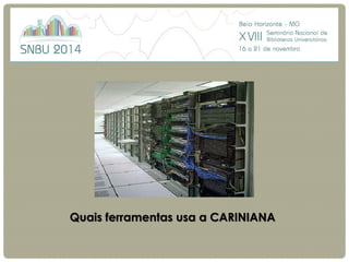 Quais ferramentas usa a CARINIANA  