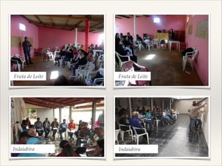 Fruta de Leite

Fruta de Leite

Indaiabira

Indaiabira

 