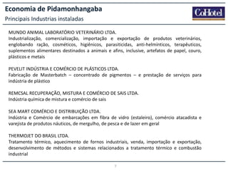 Economia de Pidamonhangaba
Principais Industrias instaladas
MUNDO ANIMAL LABORATÓRIO VETERINÁRIO LTDA.
Industrialização, comercialização, importação e exportação de produtos veterinários,
englobando ração, cosméticos, higiênicos, parasiticidas, anti-helmínticos, terapêuticos,
suplementos alimentares destinados a animais e afins, inclusive, artefatos de papel, couro,
plásticos e metais
PEVELIT INDÚSTRIA E COMÉRCIO DE PLÁSTICOS LTDA.
Fabricação de Masterbatch – concentrado de pigmentos – e prestação de serviços para
indústria de plástico
REMCSAL RECUPERAÇÃO, MISTURA E COMÉRCIO DE SAIS LTDA.
Indústria química de mistura e comércio de sais
SEA MART COMÉRCIO E DISTRIBUIÇÃO LTDA.
Indústria e Comércio de embarcações em fibra de vidro (estaleiro), comércio atacadista e
varejista de produtos náuticos, de mergulho, de pesca e de lazer em geral
THERMOJET DO BRASIL LTDA.
Tratamento térmico, aquecimento de fornos industriais, venda, importação e exportação,
desenvolvimento de métodos e sistemas relacionados a tratamento térmico e combustão
industrial
7

 