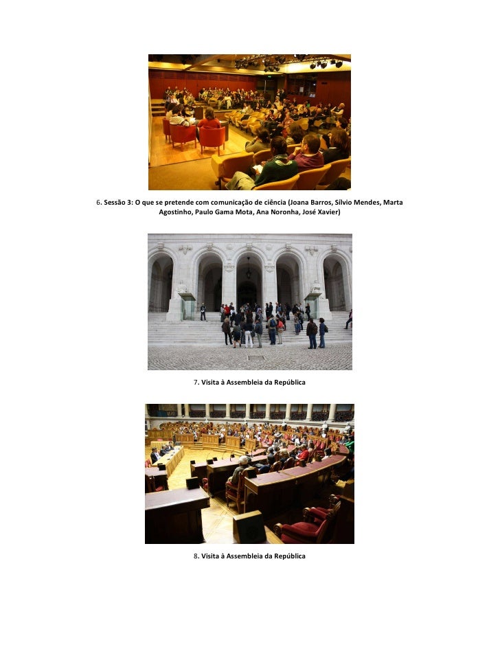 Relatorio ciencia politica