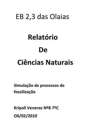EB 2,3 das Olaias
Relatório
De
Ciências Naturais
Simulação de processos de
fossilização

Kripali Veneraz Nº8 7ºC
O6/02/2010

 