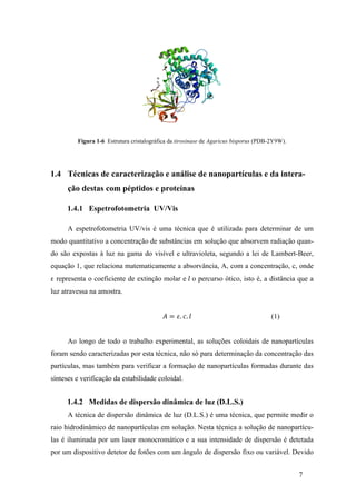 7 
Figura 1-6 Estrutura cristalográfica da tirosinase de Agaricus bisporus (PDB-2Y9W). 
1.4 Técnicas de caracterização e análise de nanopartículas e da intera-ção 
destas com péptidos e proteínas 
1.4.1 Espetrofotometria UV/Vis 
A espetrofotometria UV/vis é uma técnica que é utilizada para determinar de um 
modo quantitativo a concentração de substâncias em solução que absorvem radiação quan-do 
são expostas à luz na gama do visível e ultravioleta, segundo a lei de Lambert-Beer, 
equação 1, que relaciona matematicamente a absorvância, A, com a concentração, c, onde 
ε representa o coeficiente de extinção molar e 푙 o percurso ótico, isto é, a distância que a 
luz atravessa na amostra. 
퐴 = 휀. 푐. 푙 (1) 
Ao longo de todo o trabalho experimental, as soluções coloidais de nanopartículas 
foram sendo caracterizadas por esta técnica, não só para determinação da concentração das 
partículas, mas também para verificar a formação de nanopartículas formadas durante das 
sínteses e verificação da estabilidade coloidal. 
1.4.2 Medidas de dispersão dinâmica de luz (D.L.S.) 
A técnica de dispersão dinâmica de luz (D.L.S.) é uma técnica, que permite medir o 
raio hidrodinâmico de nanopartículas em solução. Nesta técnica a solução de nanopartícu-las 
é iluminada por um laser monocromático e a sua intensidade de dispersão é detetada 
por um dispositivo detetor de fotões com um ângulo de dispersão fixo ou variável. Devido 
 