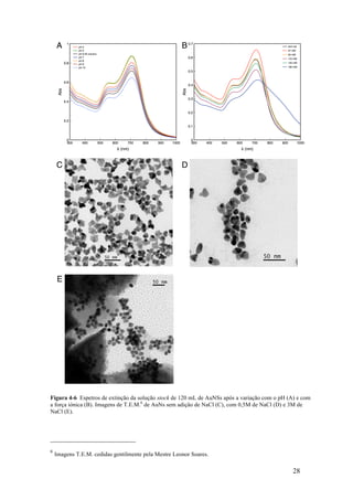 Figura 4-6 Espetros de extinção da solução stock de 120 mL de AuNSs após a variação com o pH (A) e com 
a força iónica (B). Imagens de T.E.M.6 de AuNs sem adição de NaCl (C), com 0,5M de NaCl (D) e 3M de 
NaCl (E). 
28 
6 Imagens T.E.M. cedidas gentilmente pela Mestre Leonor Soares. 
 