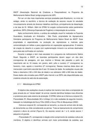 13


ANCP (Associação Nacional de Criadores e Pesquisadores) no Programa de
Melhoramento Nelore Brasil (antigo programa da USP).
     Por ser um dos mais importantes serviços prestados pela Brasilcomz, no início do
estágio, ainda no escritório, a técnica de avaliação de escores visuais foi estudada
minuciosamente através de diversos trabalhos científicos, principalmente da dissertação
e da tese do Dr. William. Além do EPMU foi exigido conhecimentos sobre parâmetros
genéticos, DEPs (Diferença Esperada de Progênie) e interpretação de sumários.
     Após conhecimento teórico, a prática de avaliação visual foi realizada na Fazenda
Guanabara, localizada em Andradina - São Paulo, propriedade da Agropecuária
Grendene participante do Programa de Melhoramento Nelore Brasil da ANCP. Essa
propriedade    é   especializada   na   produção   de   reprodutores   e   matrizes   para
comercialização em leilões e para julgamentos em exposições agropecuárias. O sistema
de criação do rebanho é a pasto com suplementação mineral e os animais destinados
para pista são confinados em cocheira.
     Durante o estágio o item mais estudado foi o programa de melhoramento Nelore
Brasil. Segundo a ANCP, as fazendas participantes devem seguir um dos dois
cronogramas de pesagens, em que machos e fêmeas são pesados a partir do
nascimento até os 18 meses, em janeiro, abril, julho e outubro (1o cronograma) ou
fevereiro, maio, agosto e novembro (2o cronograma). Nessas mesmas datas deve ser
mensurado o perímetro escrotal dos 9 aos 18 meses de idade. As avaliações visuais são
feitas a desmama (180 a 240 dias de idade) e ao sobreano (480 a 600 dias de idade).
Esses dados são enviados para ANCP pela internet e as DEPs são disponibilizadas aos
criadores através do web site da associação.


    3.1.1     Metodologia do EPMU


     O objetivo das avaliações visuais é explicar de maneira mais clara a composição do
peso através de um “retrato falado” do animal, visando identificar biotipos mais eficientes
e produtivos para cada sistema de produção. O EPMU refere-se à Estrutura corporal (E),
Precocidade (P), Musculosidade (M) e Umbigo (U) e são avaliadas da seguinte maneira,
baseado na metodologia de Koury Filho (2005) e Koury Filho & Albuquerque (2002):
     - Estrutura corporal (E): corresponde ao tamanho, ou área do animal visto de lado,
do dorso/lombo ao chão considerando as pernas. Trata-se basicamente do comprimento
corporal e altura do animal (Figura 6). Os escores variam de 1 a 6, sendo escore 1
pequeno e 6 grande.
     - Precocidade (P): corresponde à relação entre comprimento de costelas e altura de
membros. O objetivo é identificar animais com maior profundidade de costelas, que
 