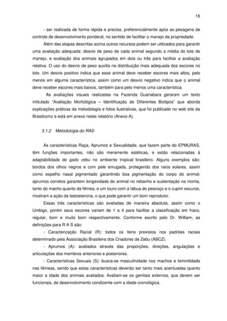 16


     - ser realizada de forma rápida e precisa, preferencialmente após as pesagens de
controle de desenvolvimento ponderal, no sentido de facilitar o manejo da propriedade.
     Além das etapas descritas acima outros recursos podem ser utilizados para garantir
uma avaliação adequada: desvio de peso de cada animal segundo a média do lote de
manejo, e avaliação dos animais agrupados em dois ou três para facilitar a avaliação
relativa. O uso do desvio de peso auxilia na distribuição mais adequada dos escores no
lote. Um desvio positivo indica que esse animal deve receber escores mais altos, pelo
menos em alguma característica, assim como um desvio negativo indica que o animal
deve receber escores mais baixos, também para pelo menos uma característica.
       As avaliações visuais realizadas na Fazenda Guanabara geraram um texto
intitulado “Avaliação Morfológica – Identificação de Diferentes Biotipos” que aborda
explicações práticas da metodologia e fotos ilustrativas, que foi publicado no web site da
Brasilcomz e está em anexo neste relatório (Anexo A).


    3.1.2   Metodologia do RAS


     As características Raça, Aprumos e Sexualidade, que fazem parte do EPMURAS,
têm funções importantes, não são meramente estéticas, e estão relacionadas à
adaptabilidade do gado zebu no ambiente tropical brasileiro. Alguns exemplos são:
bordos dos olhos negros e com pele enrugada, protegendo dos raios solares, assim
como espelho nasal pigmentado garantindo boa pigmentação do corpo do animal;
aprumos corretos garantem longevidade do animal no rebanho e sustentação na monta,
tanto do macho quanto da fêmea; e um touro com a tábua do pescoço e o cupim escuros,
mostram a ação da testosterona, o que pode garantir um bom reprodutor.
     Essas três características são avaliadas de maneira absoluta, assim como o
Umbigo, porém seus escores variam de 1 a 4 para facilitar a classificação em fraco,
regular, bom e muito bom respectivamente. Conforme escrito pelo Dr. William, as
definições para R A S são:
     - Caracterização Racial (R): todos os itens previstos nos padrões raciais
determinado pela Associação Brasileira dos Criadores de Zebu (ABCZ).
     - Aprumos (A): avaliados através das proporções, direções, angulações e
articulações dos membros anteriores e posteriores.
     - Características Sexuais (S): busca-se masculinidade nos machos e feminilidade
nas fêmeas, sendo que estas características deverão ser tanto mais acentuadas quanto
maior a idade dos animais avaliados. Avaliam-se os genitais externos, que devem ser
funcionais, de desenvolvimento condizente com a idade cronológica.
 